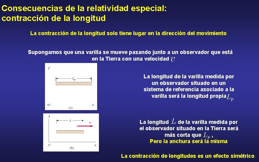 Consecuencias de la relatividad especial: contracción de la longitud La contracción de la longitud