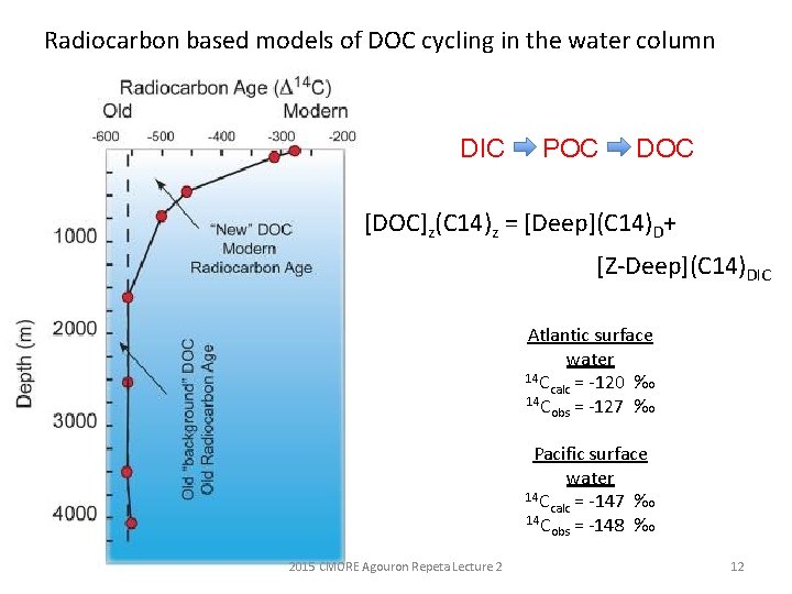 Radiocarbon based models of DOC cycling in the water column DIC POC DOC [DOC]z(C