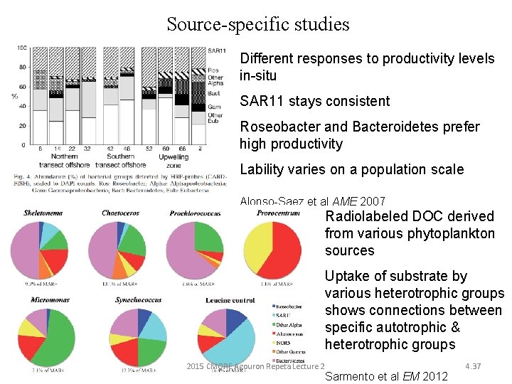 Source-specific studies Different responses to productivity levels in-situ SAR 11 stays consistent Roseobacter and