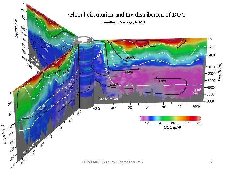 Global circulation and the distribution of DOC Hansell et al. Oceanography 2009 2015 CMORE