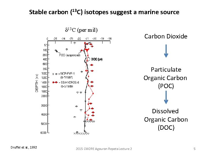 Stable carbon (13 C) isotopes suggest a marine source d 13 C (per mil)