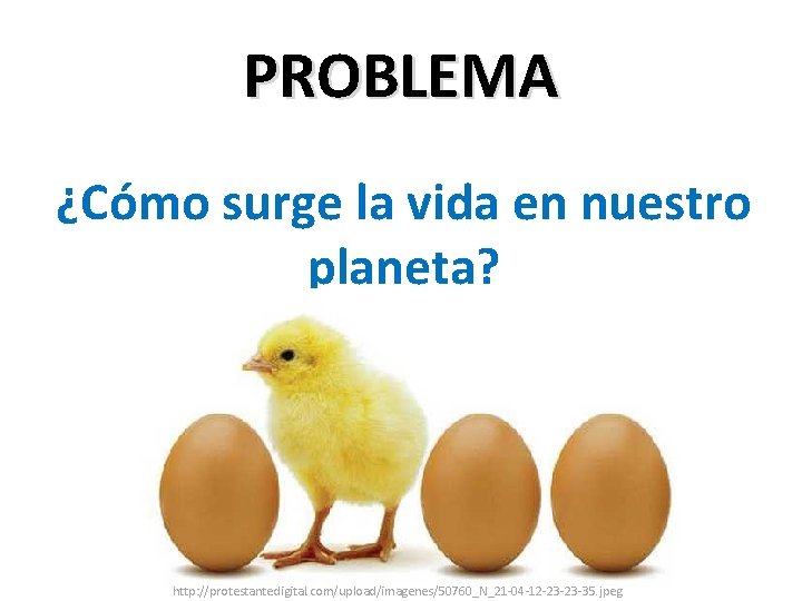 PROBLEMA ¿Cómo surge la vida en nuestro planeta? http: //protestantedigital. com/upload/imagenes/50760_N_21 -04 -12 -23