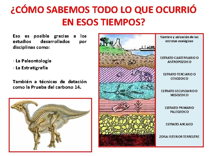 ¿CÓMO SABEMOS TODO LO QUE OCURRIÓ EN ESOS TIEMPOS? Eso es posible gracias a