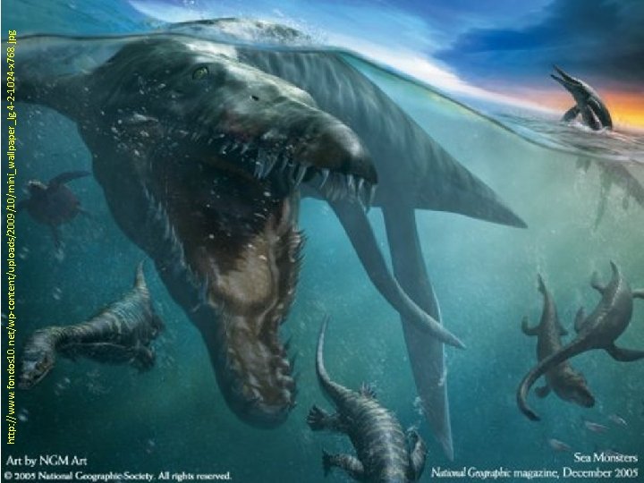 http: //www. fondos 10. net/wp-content/uploads/2009/10/mini_wallpaper_lg. 4 -2 -1024 -x 768. jpg 