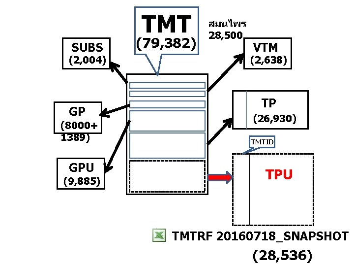 TMT SUBS (2, 004) GP (8000+ 1389) GPU (9, 885) (79, 382) สมนไพร 28,