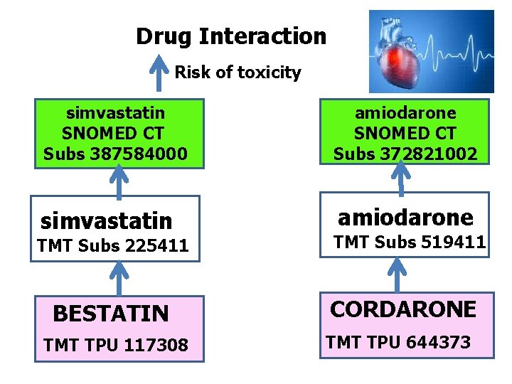 Drug Interaction Risk of toxicity simvastatin SNOMED CT Subs 387584000 amiodarone SNOMED CT Subs