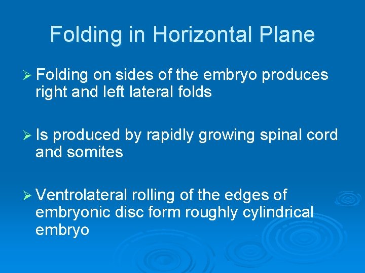 Folding in Horizontal Plane Ø Folding on sides of the embryo produces right and