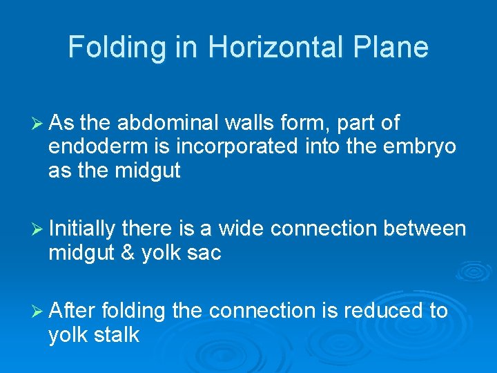 Folding in Horizontal Plane Ø As the abdominal walls form, part of endoderm is