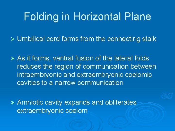 Folding in Horizontal Plane Ø Umbilical cord forms from the connecting stalk Ø As