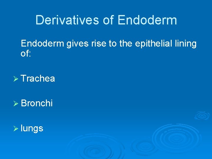 Derivatives of Endoderm gives rise to the epithelial lining of: Ø Trachea Ø Bronchi