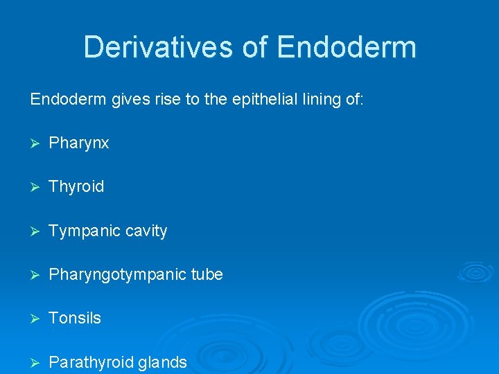 Derivatives of Endoderm gives rise to the epithelial lining of: Ø Pharynx Ø Thyroid