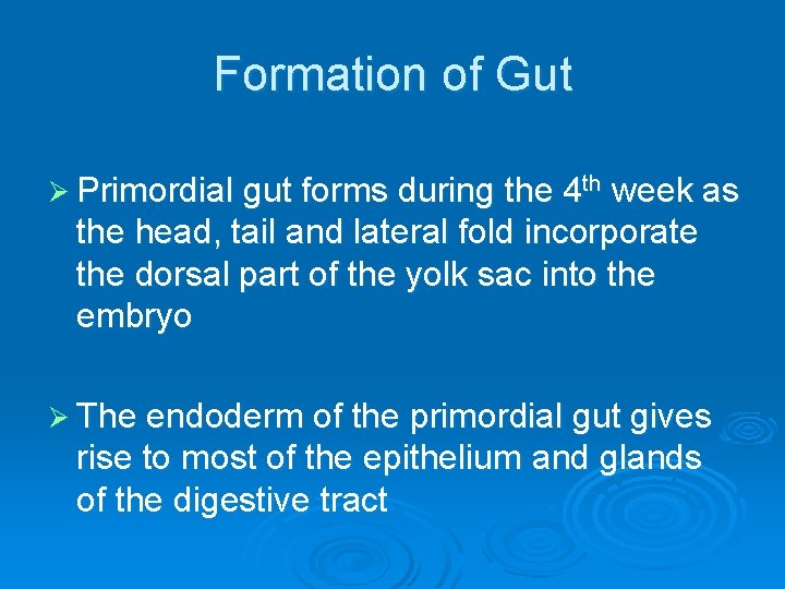 Formation of Gut Ø Primordial gut forms during the 4 th week as the