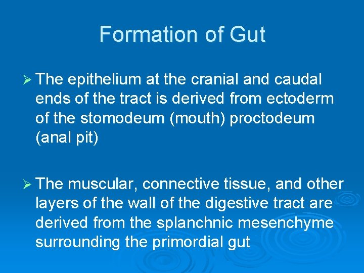 Formation of Gut Ø The epithelium at the cranial and caudal ends of the