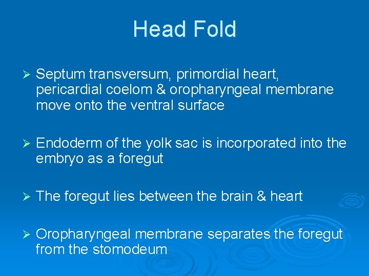 Head Fold Ø Septum transversum, primordial heart, pericardial coelom & oropharyngeal membrane move onto