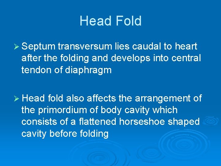 Head Fold Ø Septum transversum lies caudal to heart after the folding and develops
