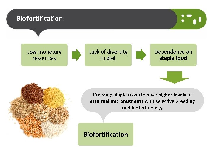 Biofortification Low monetary resources Lack of diversity in diet Dependence on staple food Breeding