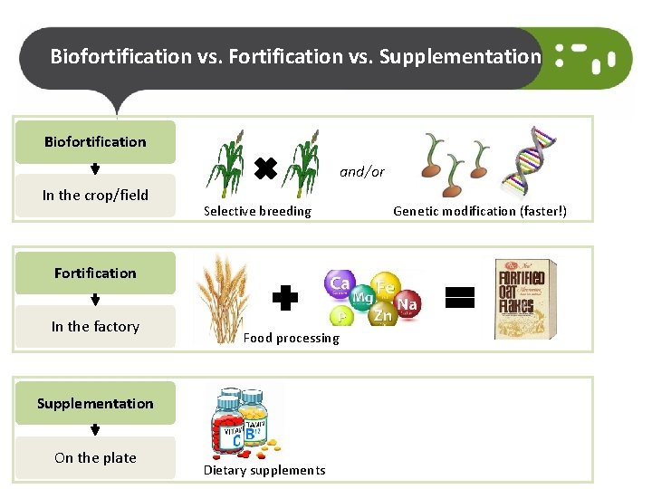 Biofortification vs. Fortification vs. Supplementation Biofortification and/or In the crop/field Selective breeding Fortification In
