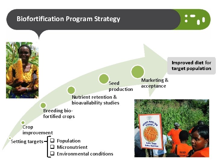 Biofortification Program Strategy Improved diet for target population Seed production Nutrient retention & bioavailability