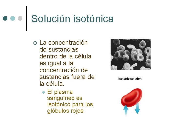 Solución isotónica ¢ La concentración de sustancias dentro de la célula es igual a