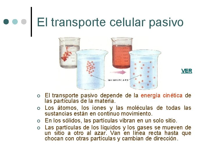 El transporte celular pasivo VER ¢ ¢ El transporte pasivo depende de la energía