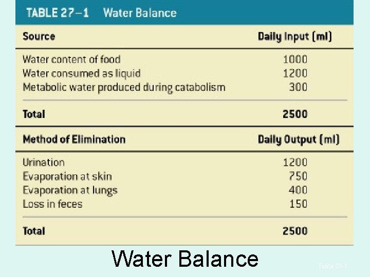 Water Balance Table 27– 1 