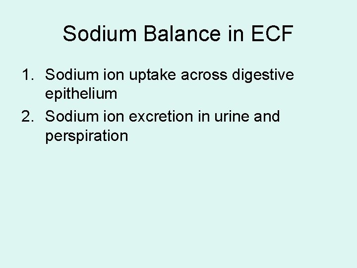 Sodium Balance in ECF 1. Sodium ion uptake across digestive epithelium 2. Sodium ion