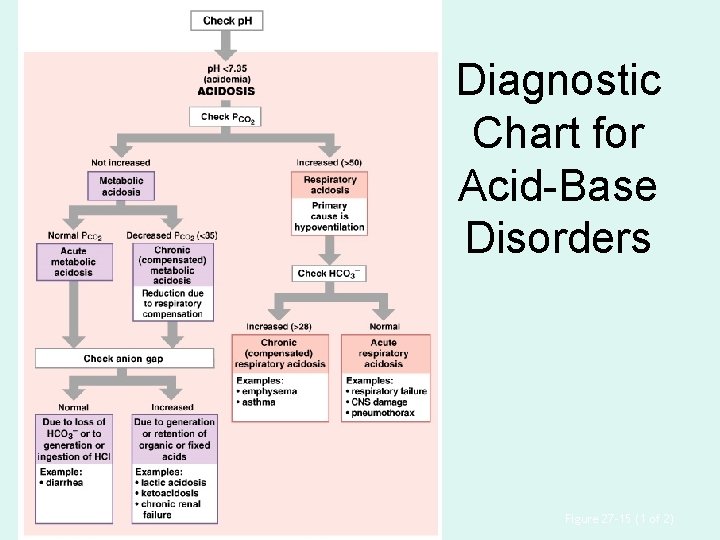 Diagnostic Chart for Acid-Base Disorders Figure 27– 15 (1 of 2) 