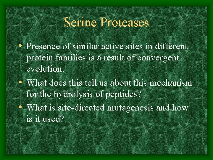 Serine Proteases • Presence of similar active sites in different protein families is a