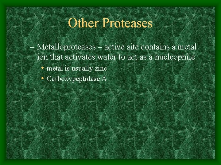 Other Proteases – Metalloproteases – active site contains a metal ion that activates water