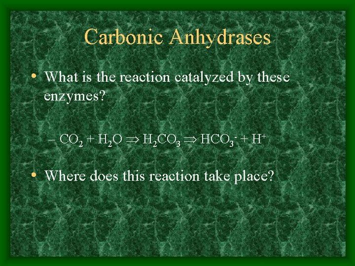 Carbonic Anhydrases • What is the reaction catalyzed by these enzymes? – CO 2