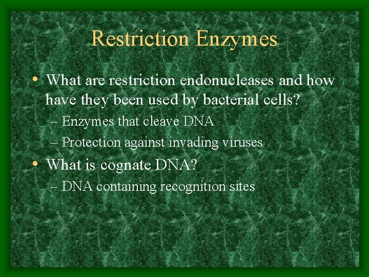 Restriction Enzymes • What are restriction endonucleases and how have they been used by