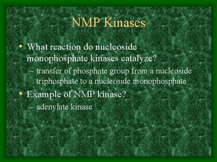 NMP Kinases • What reaction do nucleoside monophosphate kinases catalyze? – transfer of phosphate