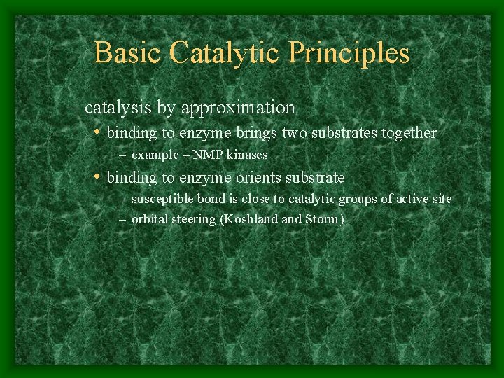 Basic Catalytic Principles – catalysis by approximation • binding to enzyme brings two substrates