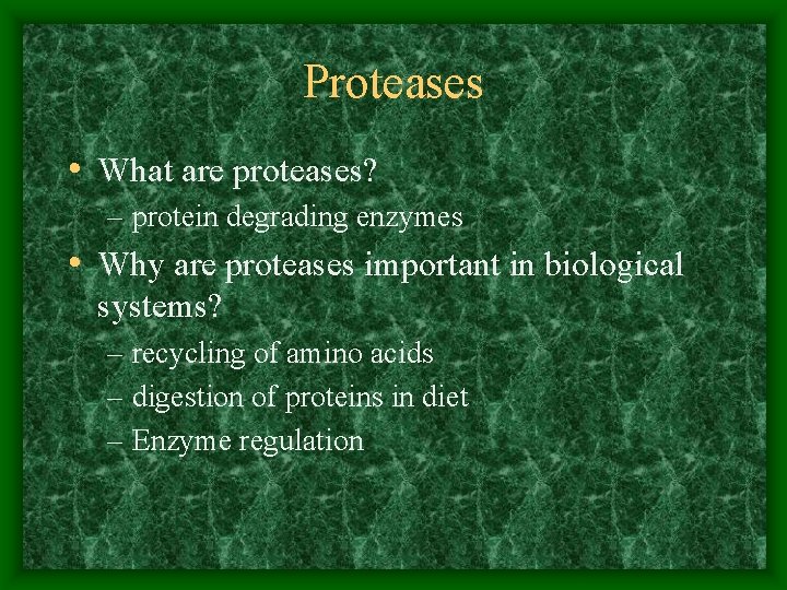 Proteases • What are proteases? – protein degrading enzymes • Why are proteases important