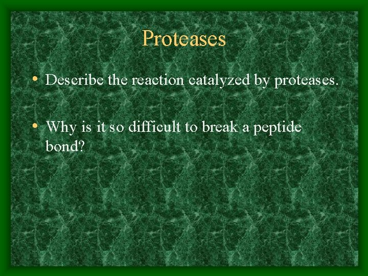 Proteases • Describe the reaction catalyzed by proteases. • Why is it so difficult