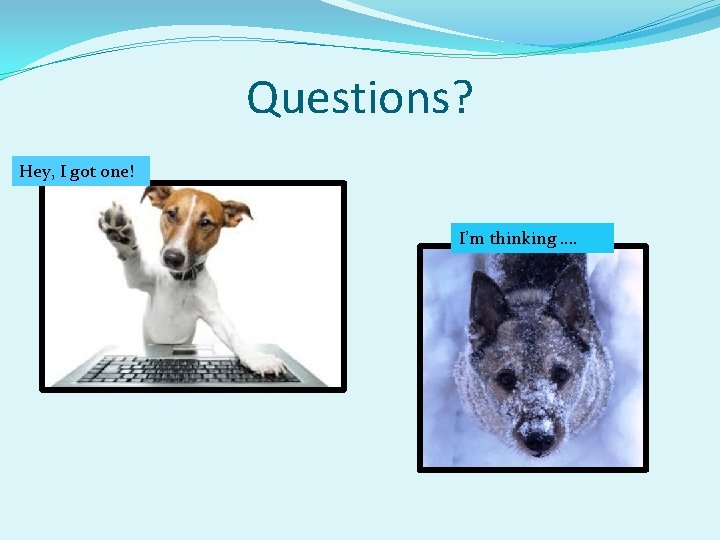 Questions? Hey, I got one! I’m thinking …. 