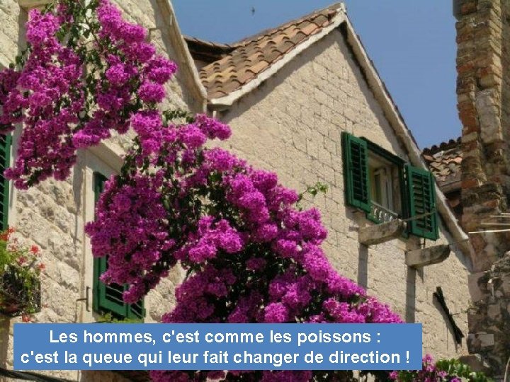 Les hommes, c'est comme les poissons : c'est la queue qui leur fait changer