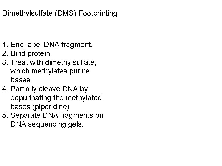 Dimethylsulfate (DMS) Footprinting 1. End-label DNA fragment. 2. Bind protein. 3. Treat with dimethylsulfate,