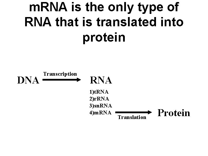 m. RNA is the only type of RNA that is translated into protein DNA