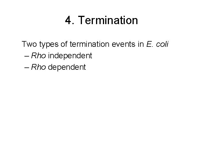 4. Termination Two types of termination events in E. coli – Rho independent –