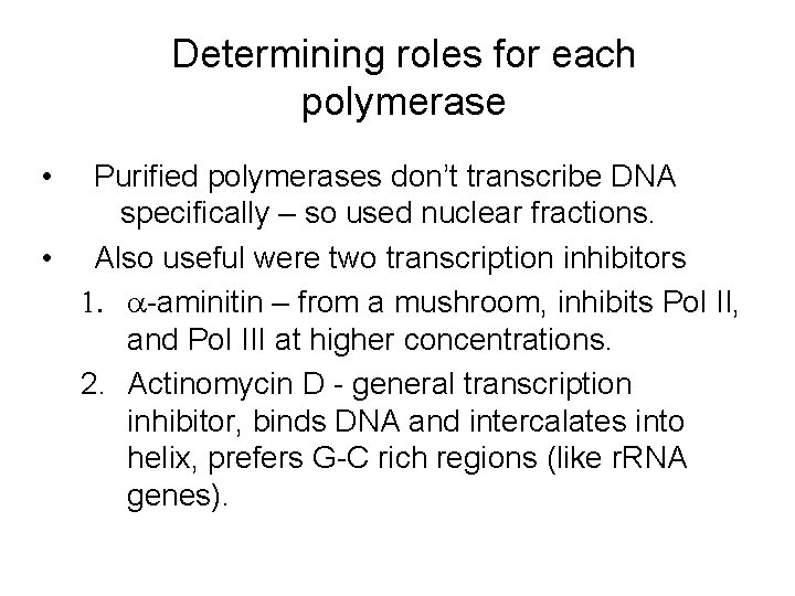 Determining roles for each polymerase • Purified polymerases don’t transcribe DNA specifically – so