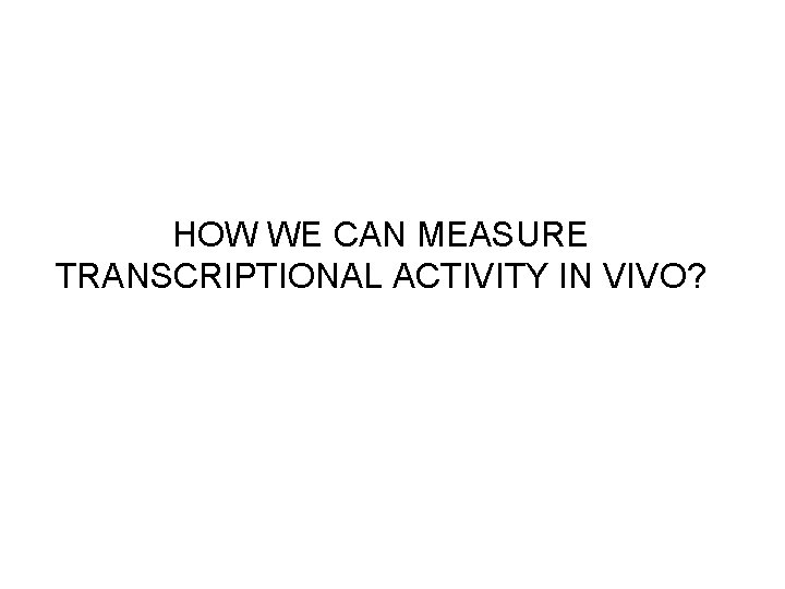 HOW WE CAN MEASURE TRANSCRIPTIONAL ACTIVITY IN VIVO? 