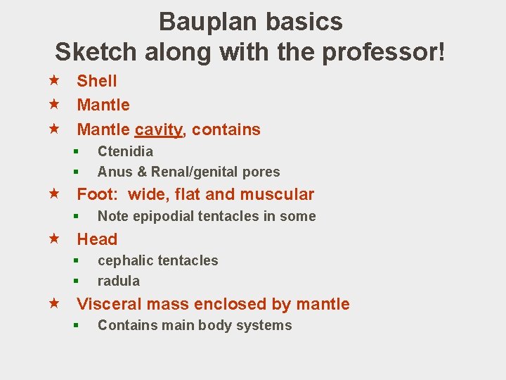 Bauplan basics Sketch along with the professor! « Shell « Mantle cavity, contains §