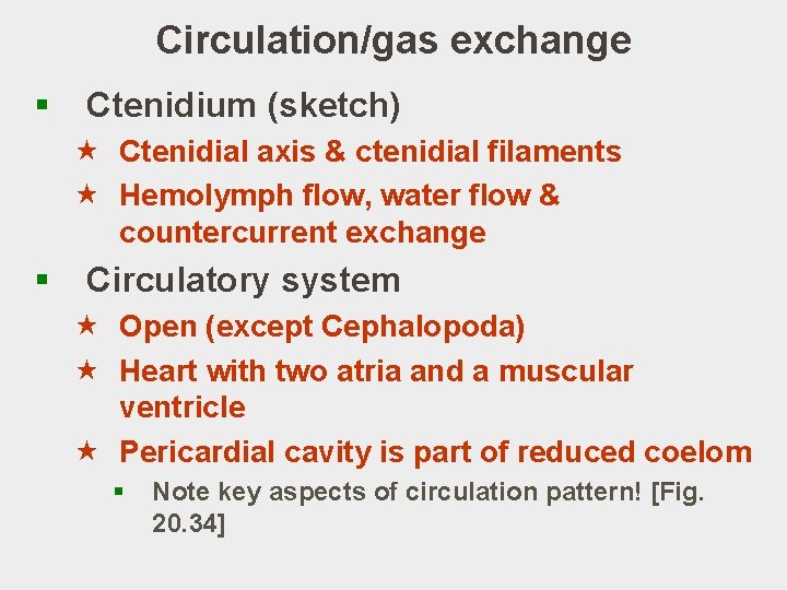 Circulation/gas exchange § Ctenidium (sketch) « Ctenidial axis & ctenidial filaments « Hemolymph flow,