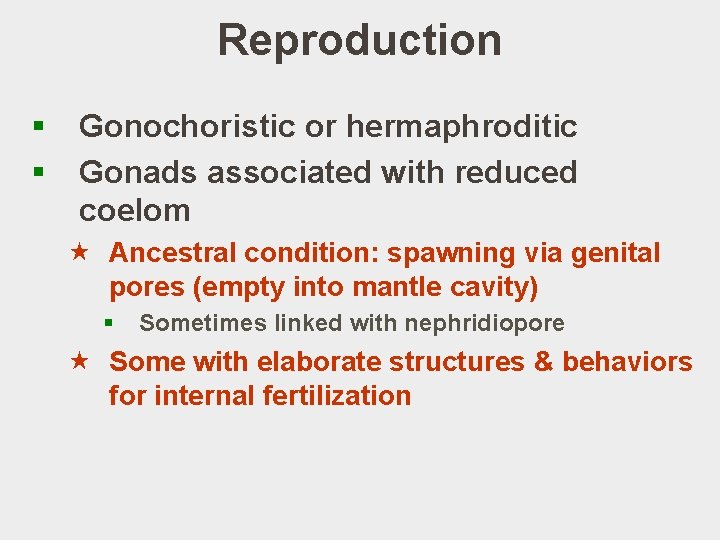 Reproduction § § Gonochoristic or hermaphroditic Gonads associated with reduced coelom « Ancestral condition: