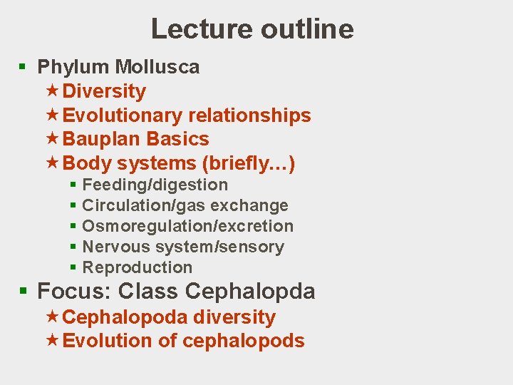Lecture outline § Phylum Mollusca «Diversity «Evolutionary relationships «Bauplan Basics «Body systems (briefly…) §