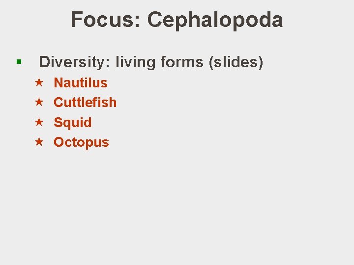 Focus: Cephalopoda § Diversity: living forms (slides) « « Nautilus Cuttlefish Squid Octopus 