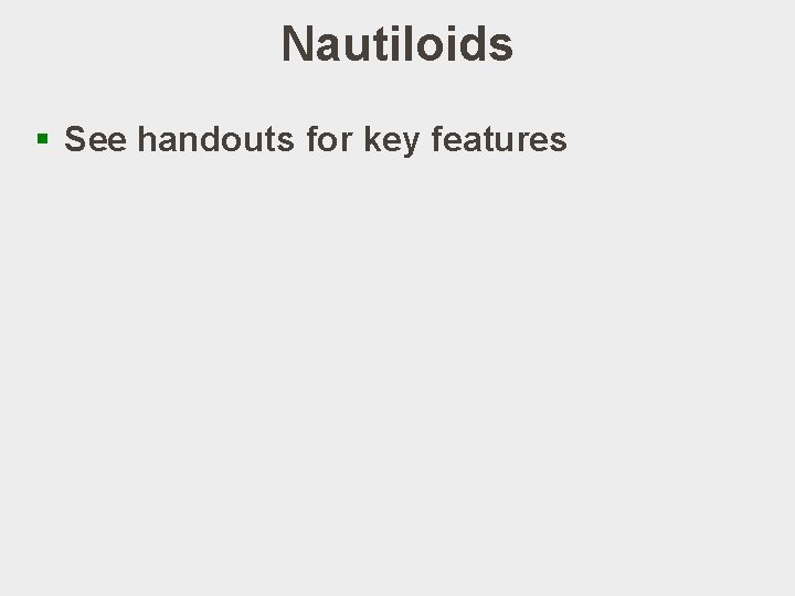 Nautiloids § See handouts for key features 