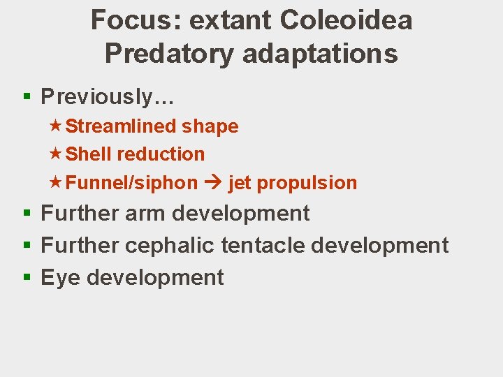 Focus: extant Coleoidea Predatory adaptations § Previously… «Streamlined shape «Shell reduction «Funnel/siphon jet propulsion