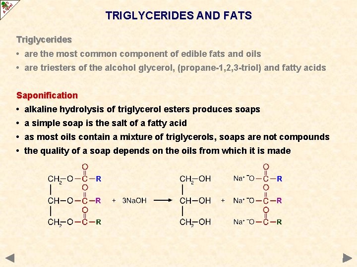 TRIGLYCERIDES AND FATS Triglycerides • are the most common component of edible fats and